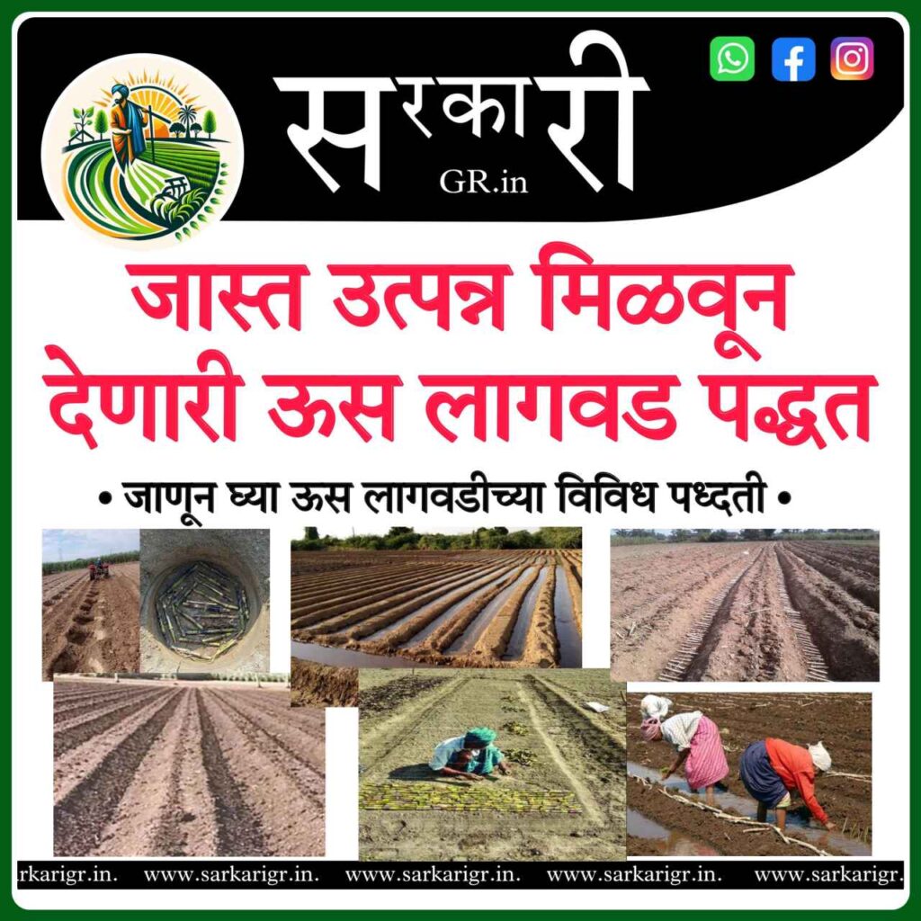 जास्त उतपान्नासाठी ऊस लागवडीचे प्रमुख प्रकार./Sugarcane cultivation(ऊस लागवड) [Sarkari gr website]