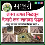 जास्त उतपान्नासाठी ऊस लागवडीचे प्रमुख प्रकार./Sugarcane cultivation(ऊस लागवड) [Sarkari gr website]