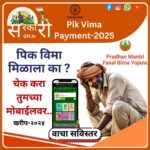PikVima Payment-2025
